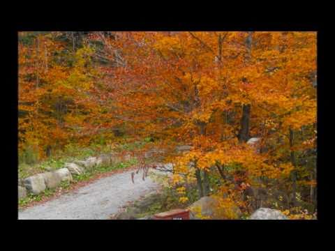 francoise hardy viens lyrics fran 231 oise hardy avec toute ma sympathie lyrics francoise hardy viens lyrics fran 231 oise hardy avec toute ma sympathie lyrics