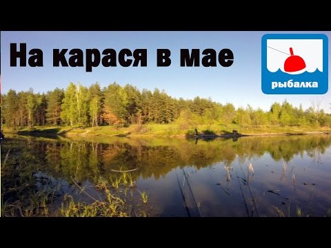 Рыбалка гороховая мастырка как сделать Рыбалка гороховая мастырка как сделать