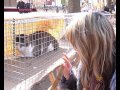 Video День бездомного кота - в Севастополе