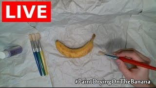 Watching Paint Dry on The Banana