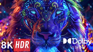 Special Dolby Vision, Wildlife 8K Ultra Hd (60Fps). Extreme Colors.
