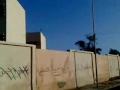 المزاريع