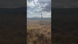 In The Midst Of Africa
