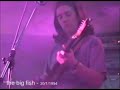 Lenny Kravitz | Are You Gonna Go My Way | Cover version by The Big Fish Band