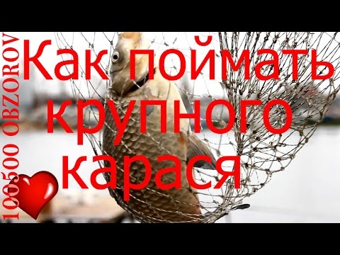 Как сделать пробку для ловли карася Как сделать пробку для ловли карася