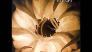 Watch Morphine Slow Numbers video