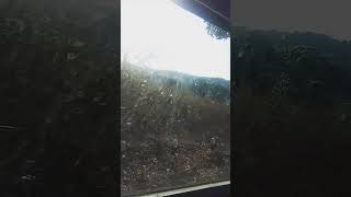 Koraput Jaba Dinar Video