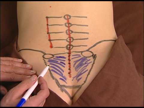 Anatomy Drawing of the Sacroiliac Ligaments - YouTube