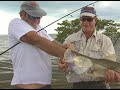 Addictive Fishing: DOA in the Glades Part 2 - SHARKS and more SHARKS
