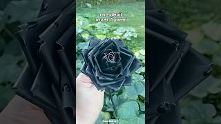 Paper Black Rose Aesthetic Rose Flower Making With Paper Paper Rose Making