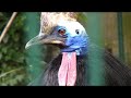 Euregio-Zoo  Aachen
