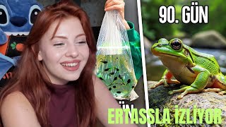Ertla Kurbağa Akvaryumu Kurdum 90 Günük Geli̇şi̇m İzli̇yor