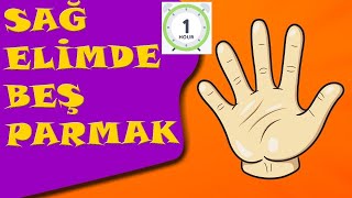 Sağ Elimde Beş 5 Parmak Sol Elimde Beş Parmak Say Bak Çocuk Şarkıları Tekerleme Songs 1 Saat