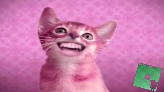 Preview 2 Numa Cat 2022 Effects Preview 2 Funny 2022.69 Effects