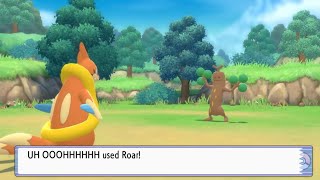 Uh Ooohhhhhh Used Roar