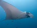 Download Papa by Claude Barzotti - Fea. The 7 Underwater Wonders of the World MP3 song and Music Video