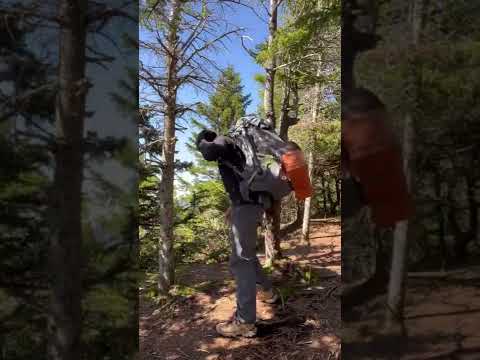 Nature hike with Chris