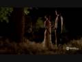 Wildfire 413 - the wedding