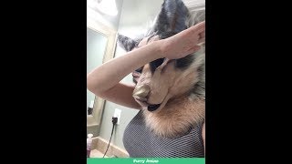 Furry Twerk