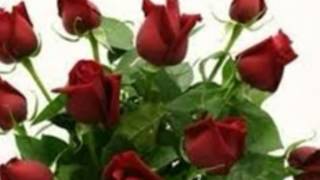 Sadece Men