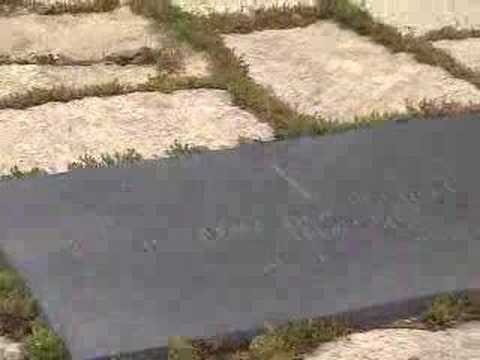 ted kennedy grave. John F. Kennedy Grave