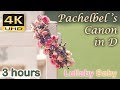✰ 3 HOURS ✰ Pachelbel CANON IN D ♫ 4K UHD ✰ PACHELBEL'S CANON ✰ Wedding Entrance, Relaxing Music ✰
