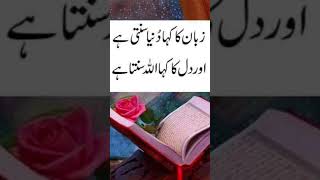 Labbaik Ya Rasool Allah Naat