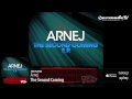 Arnej - The Second Coming (Original Mix)