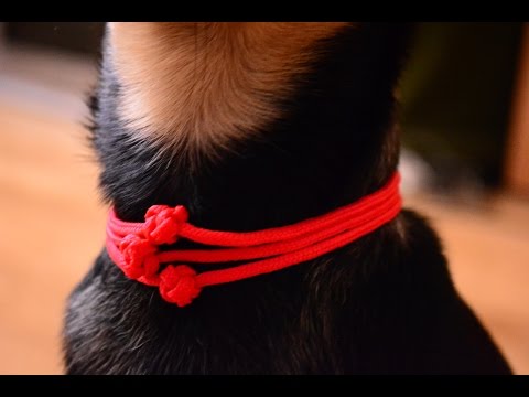 Декоративные ошейники сделать своими руками 28