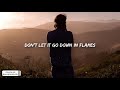 view Down In Flames
