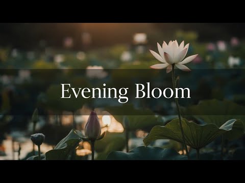 Evening Bloom – Soft Piano for Relaxation & Sleep #piano #watersounds #relaxingcalming