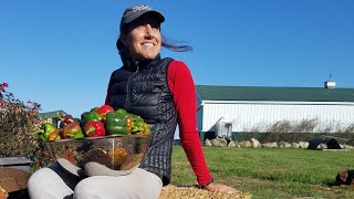 OFF GRID~ how we PRESERVE the HARVEST