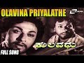 Olavina Priyalathe | Kulavadhu – ಕುಲವಧು | Dr Rajkumar | Kannada Video Songs