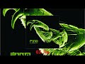 Pino - Simple Factor Tiempo (Full Album 2004) ★Nu Metal and Alternative Rock from Argentina★