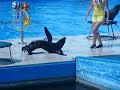 Video Севастопольский дельфинарий.