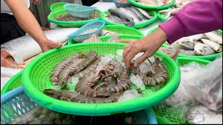Obral Ikan Taiwan -Udang Super Besar Di Jual Dengan Harga 1700Ntd Saja