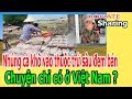 Nh,ú,ng cá khô v,à,o th,u,ố,c tr,ừ s,â,u đ,e,m bán - Ch,u,y,ệ,n c,hỉ c,ó ở V,i,ệ,t Nam ?