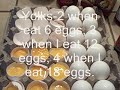 Eating with me all day. Bodybuilding Meals and supplements.