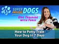 How to Potty Train Your Dog in 7 Days | Super Awesome Dogs