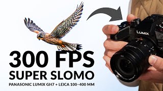 Relaxing Panasonic Lumix Gh7 Super Slomo 300 Fps 1080P Birds & Nature X Leica 100-400Mm Lens