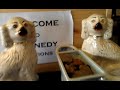 Kennedy Auctions 29th March 2013
