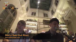 Merry Bees - Singing Duo (compilation of songs)