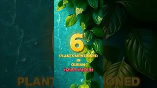 6 Plants Mentioned In Quran