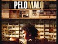 Pelicula Completa Pelo Malo Cine Venezolano Concha De Oro San ...