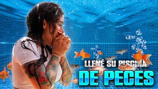 Lleno Su Piscina Con Peces Yeferson Cossio