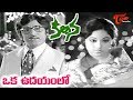Kalpana Songs - Oka Udayamlo - Murali Mohan Jayachitra - OldSongsTelugu