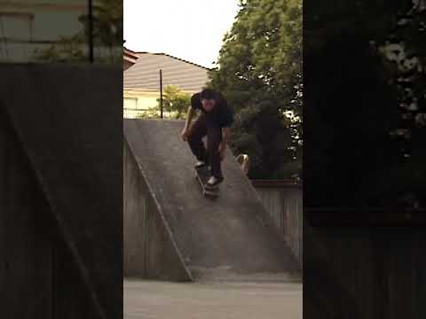 Van Wastell Bs 180 Heelflip Classic Skateboarding Shorts