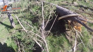 Cleanup A Tree In The Mountain After Storm Damage