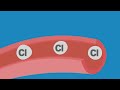 chlorinated water