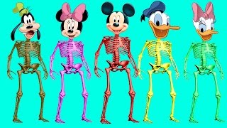 Mickey Mouse Transforms Into Skeleton Finger Family Song - Mickey Mouse Nursery Rhymes Cartoons
